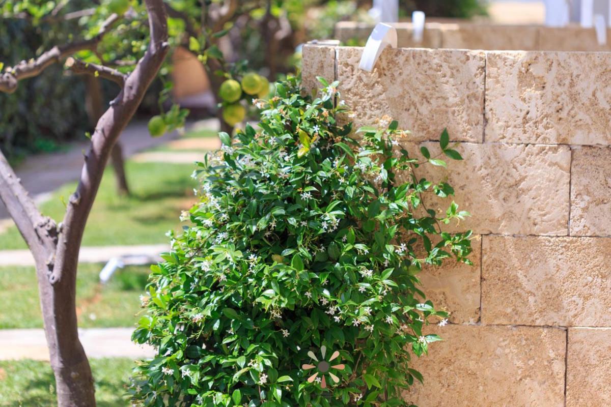 Agriturismo Tenuta Margherita Torre Lapillo Ngoại thất bức ảnh