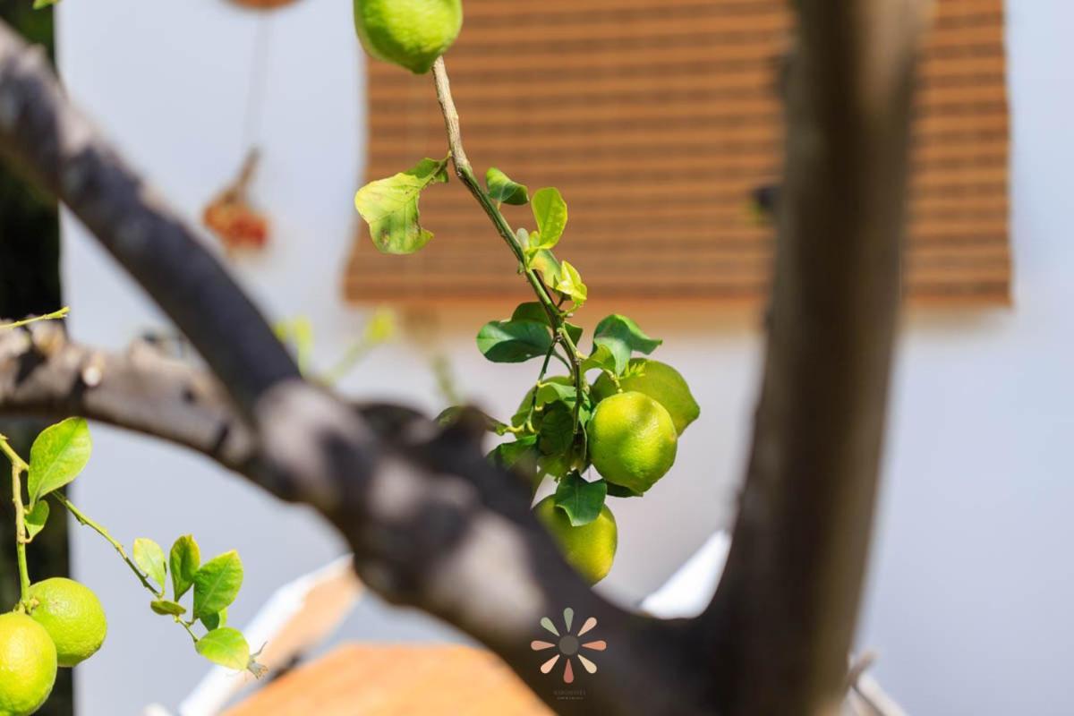 Agriturismo Tenuta Margherita Torre Lapillo Ngoại thất bức ảnh