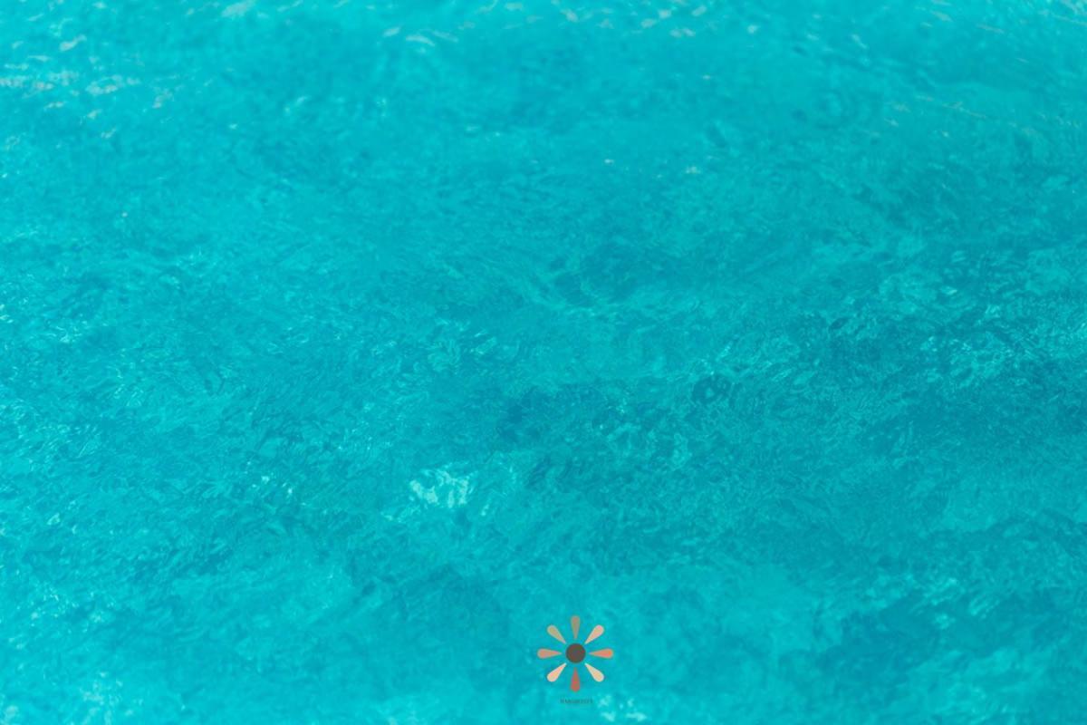 Agriturismo Tenuta Margherita Torre Lapillo Ngoại thất bức ảnh