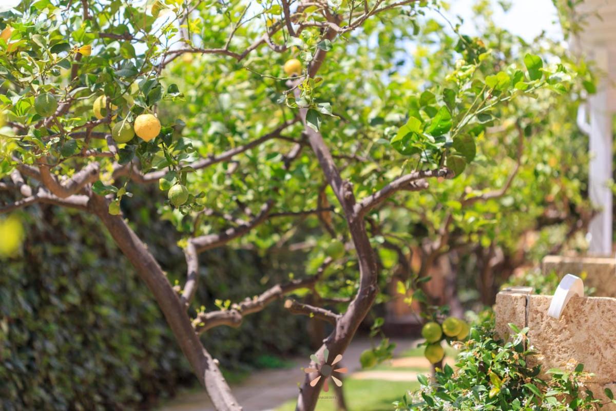 Agriturismo Tenuta Margherita Torre Lapillo Ngoại thất bức ảnh